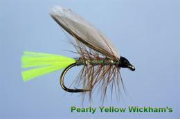 Pearly Yellow Wickham's
